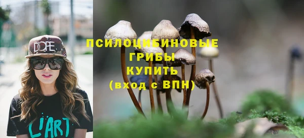 мяу мяу мука Волоколамск