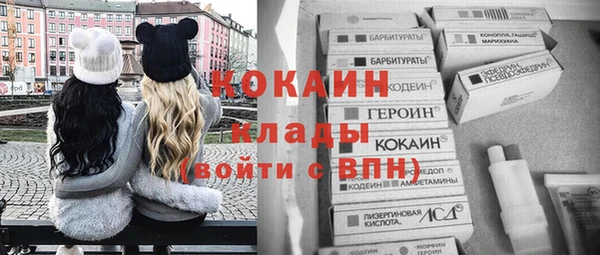 тгк Вяземский