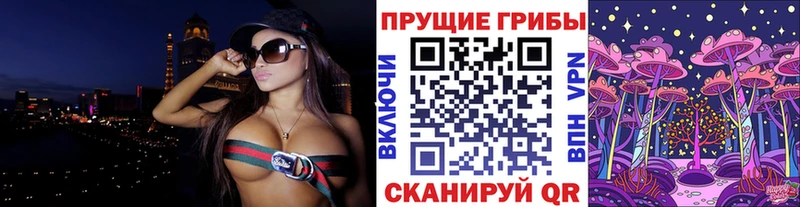 где найти   Зея  Псилоцибиновые грибы мицелий 
